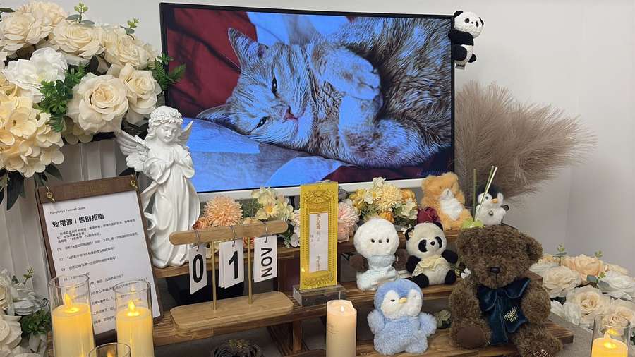 廊坊宠物殡葬告别厅实景