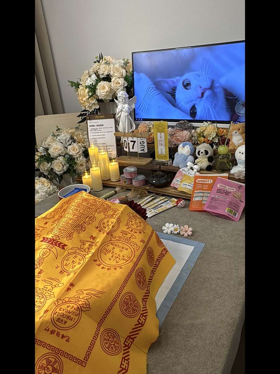廊坊宠物单独火化